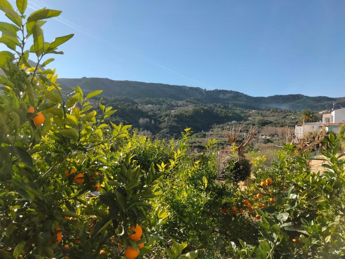 Les Penyetes Boutique Bed And Breakfast Campell Exterior foto